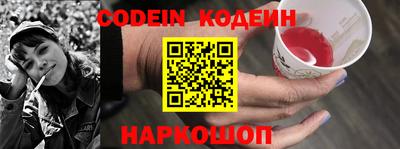 a pvp Камышлов