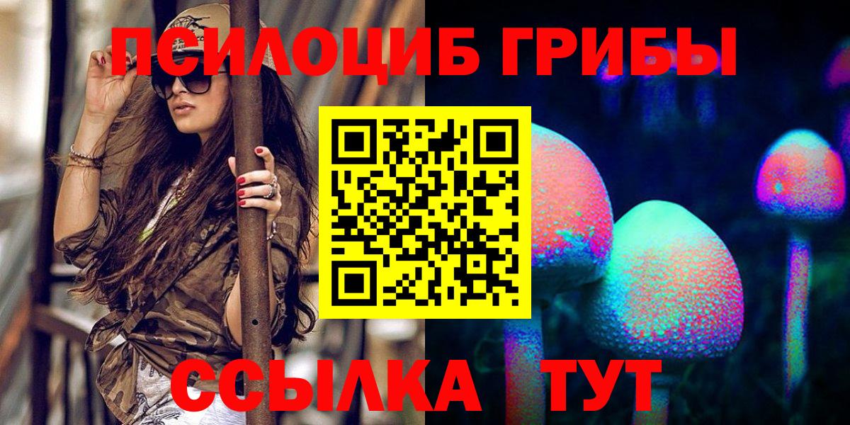 Галлюциногенные грибы мицелий  Вход с VPN  Шадринск 