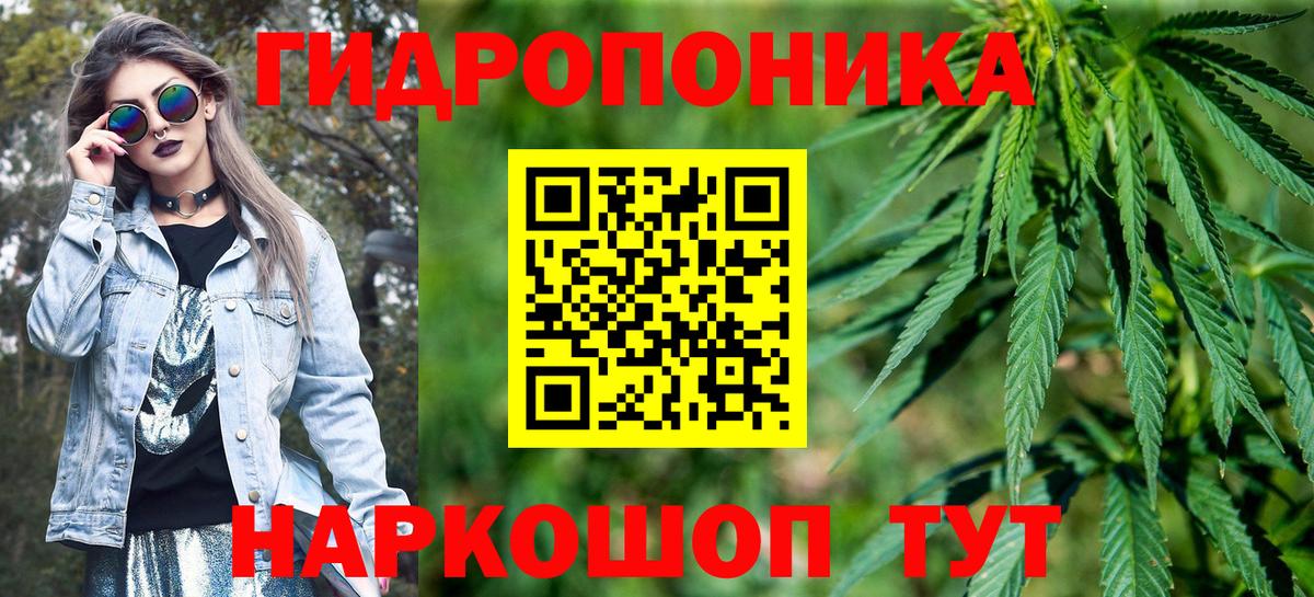 Бошки марихуана конопля  Вход с VPN  Шадринск  Канабис THC 21%  Бошки Шишки AK-47 